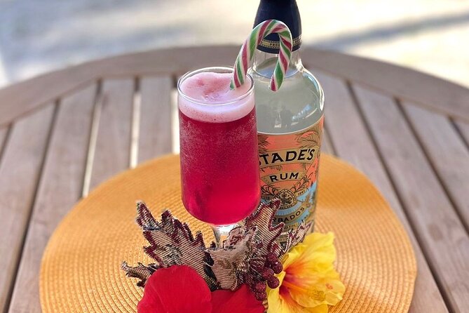 Mixology Class in Bridgetown – 10 Minutes from Cruise Terminal - A rum class built for cruise-day convenience