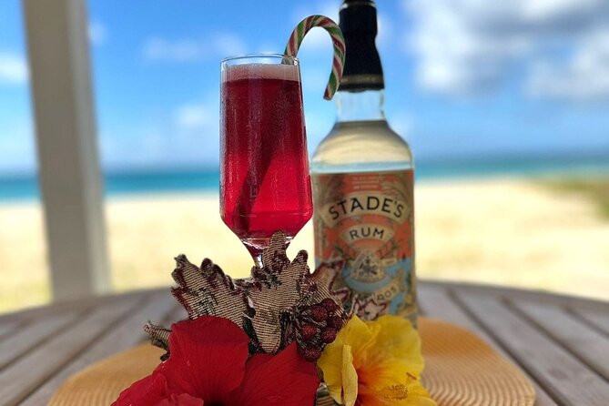 Mixology Class in Bridgetown – 10 Minutes from Cruise Terminal - Three cocktails with a Barbadian accent