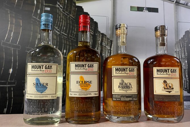 Mount Gay Signature Rum Tasting Experience - Why the guide matters so much