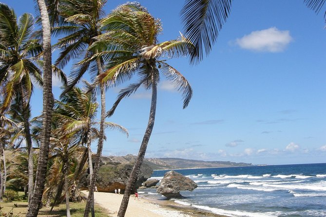 Natural Wonders of Barbados Small-Group with Harrison's Cave - Hunte’s Gardens or Flower Forest