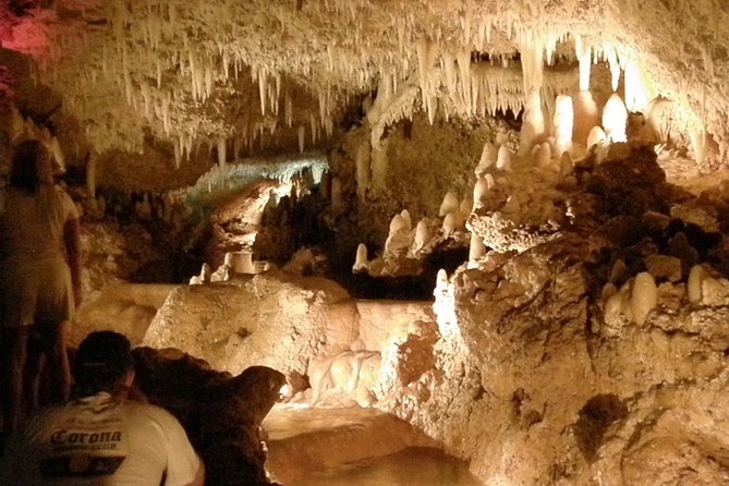 Natural Wonders of Barbados Small-Group with Harrison's Cave - Caribbean lunch with a view