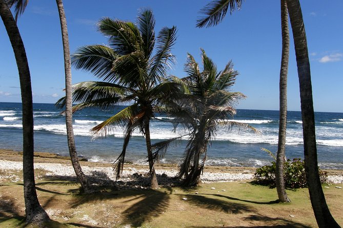 Natural Wonders of Barbados Small-Group with Harrison's Cave - The roads, pace, and physical demands