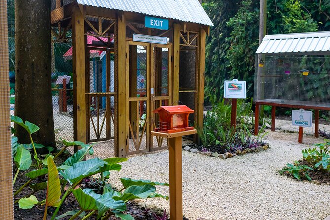 Nature Trail, Tram & Rum Tasting at Harrison's Cave by Chukka - Where the organization can slip