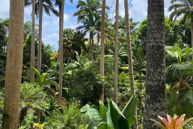 Private Barbados Island Tour - The best part may be the local detours