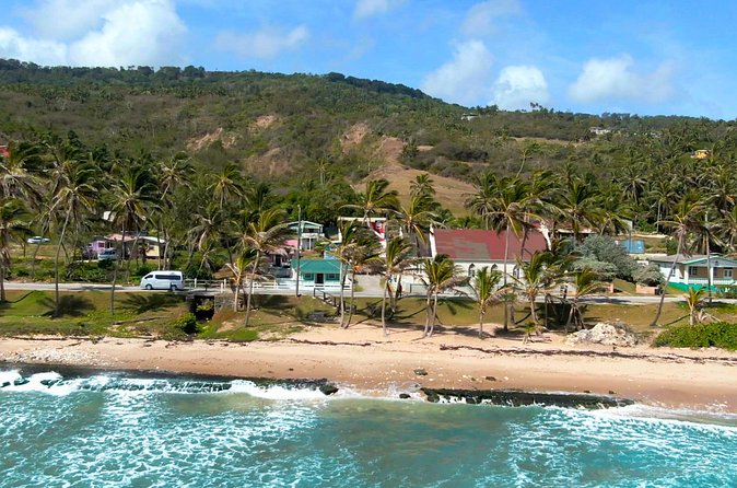 Private Barbados Island Tour - Who should book this Barbados tour?