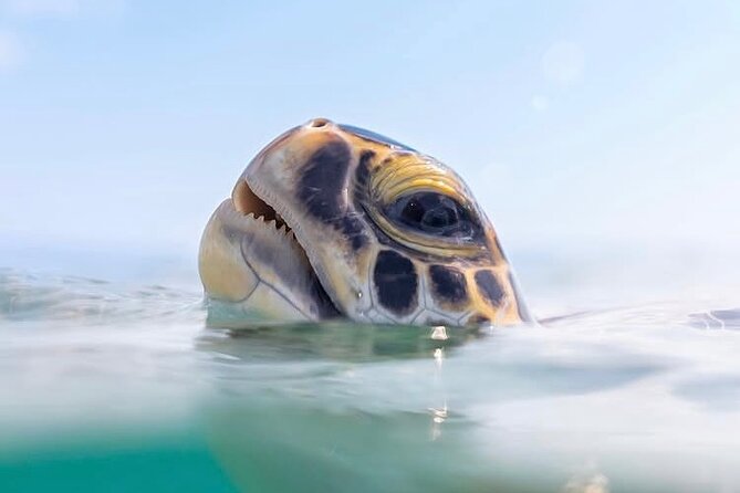 Private catamaran sail & snorkel - The limits are worth taking seriously