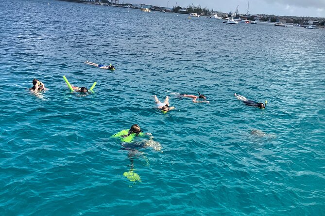 Private catamaran sail & snorkel - Choosing the catamaran or Fishful Thinking