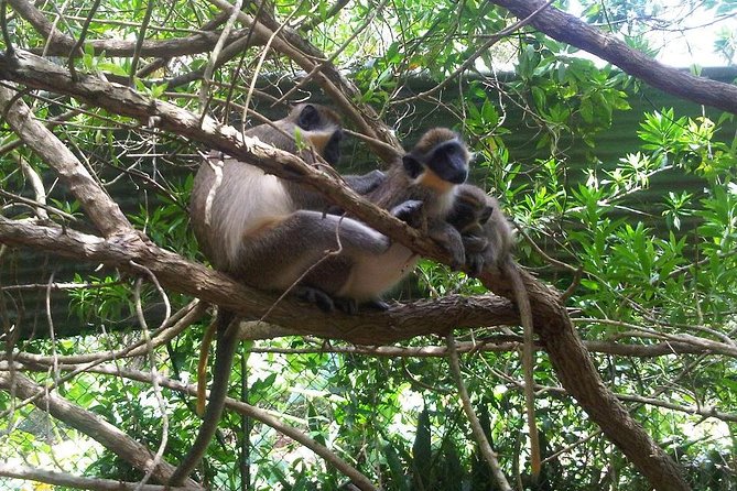 Private Customized Island Tour of Barbados - Key points at a glance