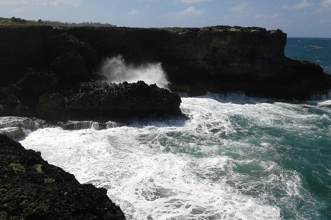 Private Customized Island Tour of Barbados - Why a private Barbados tour can work so well
