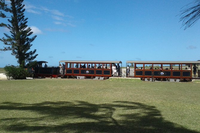 Private Customized Island Tour of Barbados - Should you book it?