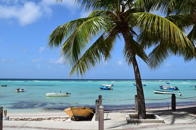Private Full-Day Barbados Excursion - Choose between a full island circuit and selected stops