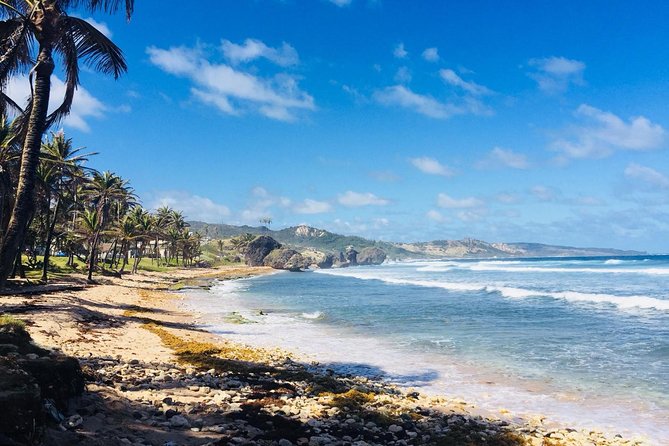 Private Half-Day Barbados Excursion - A private route instead of a fixed sightseeing loop