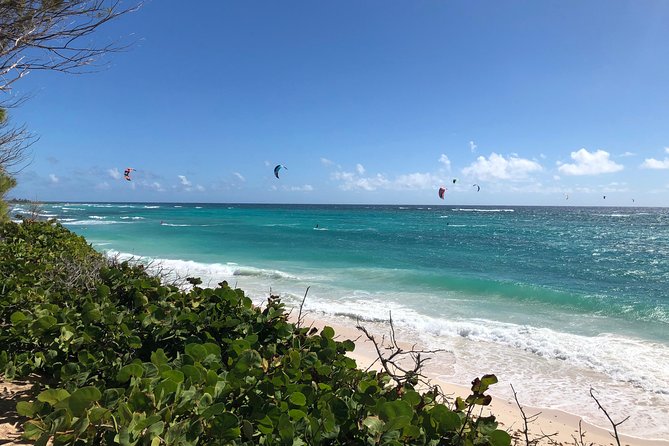 Private Half-Day Barbados Excursion - What four hours can realistically cover