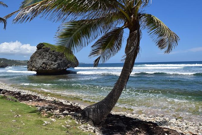 Private Half-Day Barbados Excursion - Rum, chocolate, crafts, and local flavor