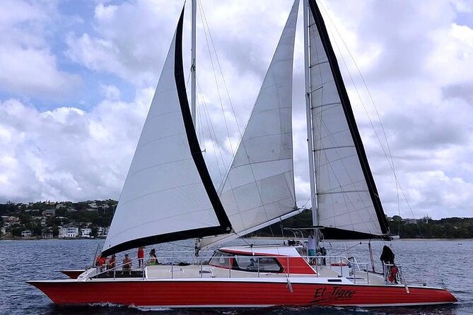 Private Tour: Barbados Catamaran Snorkeling Cruise - Lunch, beach time, and a slower middle of the day