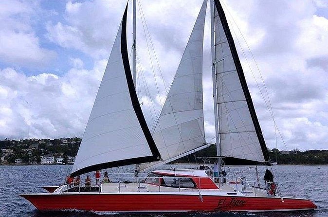 Private Tour: Barbados Catamaran Snorkeling Cruise - Who will enjoy this cruise most