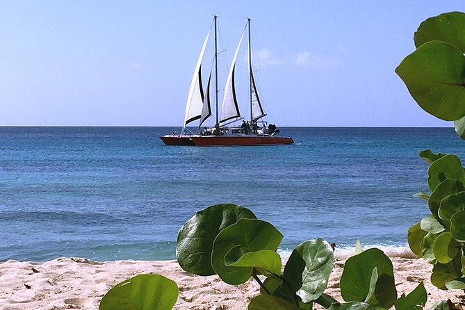 Private Tour: Barbados Catamaran Snorkeling Cruise - Carlisle Bay and the green turtles