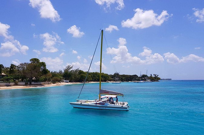 Shasa private catamran sailing cruise, Snorkel with turtles. - The Cobblers Cove turtle stop