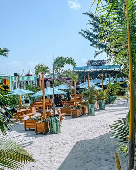 Shuttle to Carlisle Bay inclusive of beach chair - Who Will Get the Most From This Beach Day