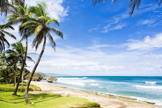 Small-Group Story of Rum Tour in its Birthplace of Barbados - Who should book this experience?