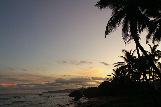 South East Sunrise (or later) E-Bike Tour - Is the sunrise worth the early alarm?