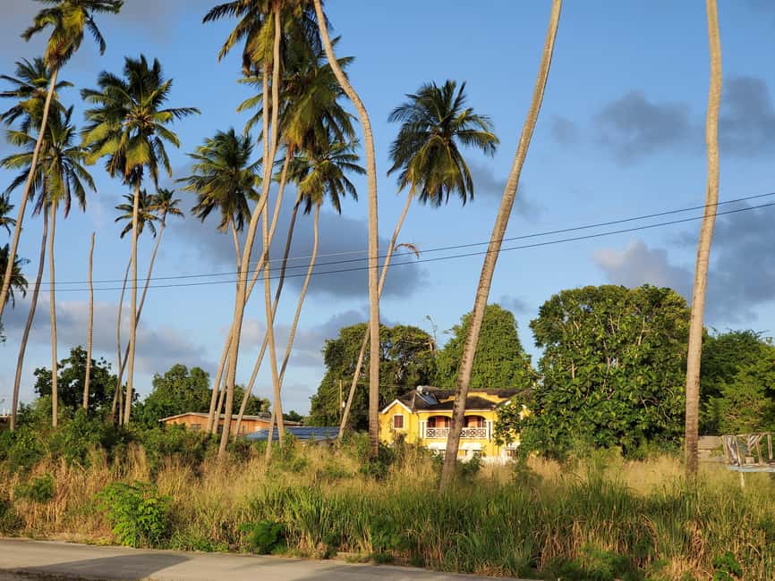 Speightstown: Historic Walking Tour - A relaxed pace with useful equipment