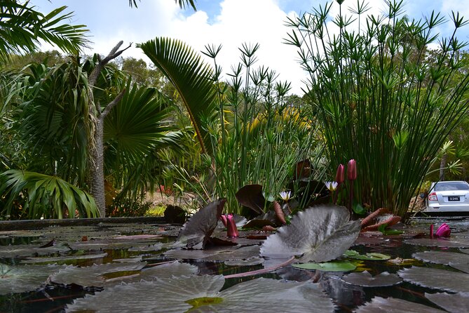 St Nicholas Abbey Tour in Barbados - Is $195.95 a fair price?