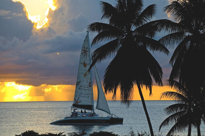 Sunset Catamaran and Snorkeling Cruise At Carlisle Bay - At a glance