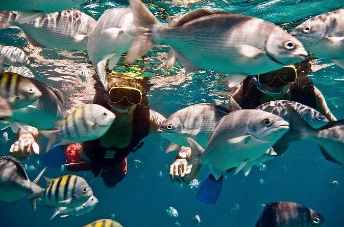 Sunset Catamaran and Snorkeling Cruise At Carlisle Bay - Is the sunset reliable?