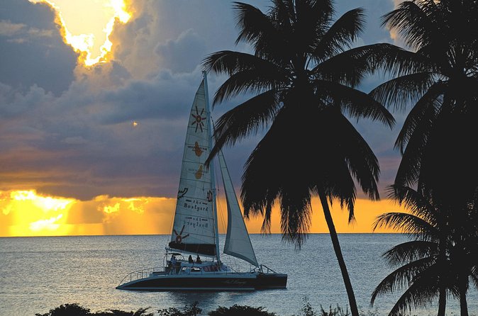 Sunset Catamaran and Snorkeling Cruise At Carlisle Bay - Who should book this catamaran cruise?
