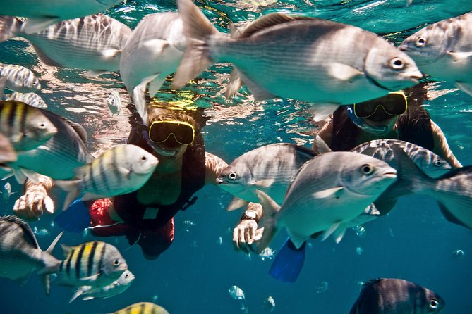 Sunset Catamaran and Snorkeling Cruise At Carlisle Bay - A white-sand cay before dinner