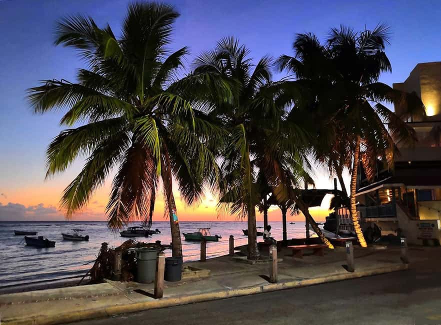 Sweet Life Island Tours - Bathsheba and the island’s most dramatic views