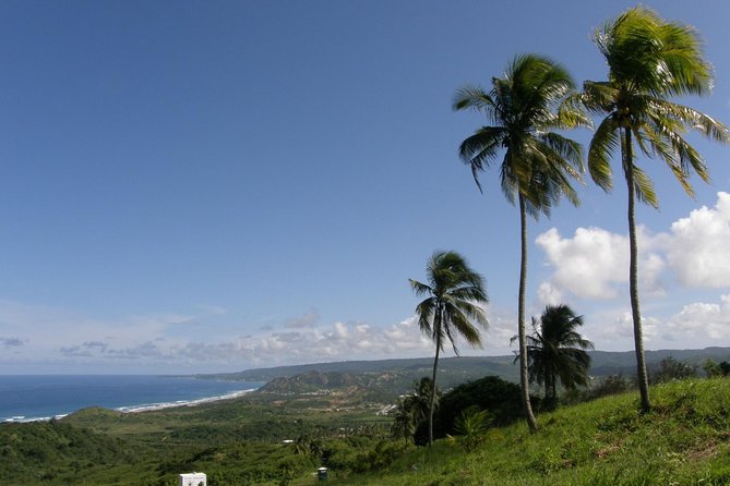 Taste of Barbados Full-Day Sightseeing tour - Cherry Tree Hill and the view across St. Peter