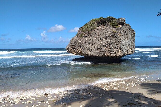 Tour Barbados Your Way - Key points to know before booking