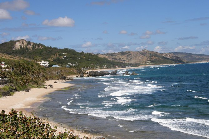 Treasures of Barbados Cave and Plantation Sightseeing Tour - What the guides add to the day