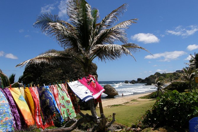 Treasures of Barbados Cave and Plantation Sightseeing Tour - Transport, pickup, and comfort details