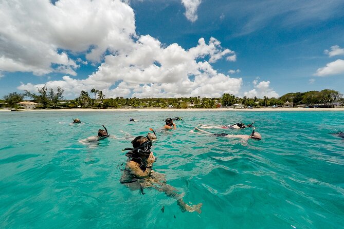 Turtle and Shipwreck adventure on 57 ft catamaran - Snorkeling above Barbados shipwrecks