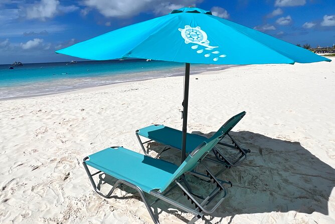 Ultimate Barbados Beach Day And Snorkel Cruise - Who will enjoy this outing most?