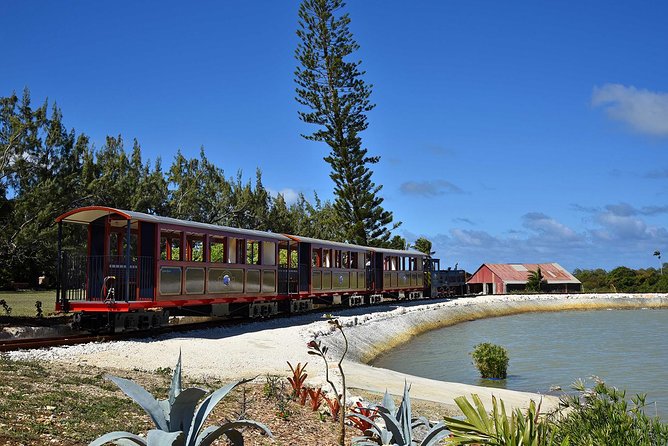 Victorian Steam Railway to Cherry Tree Hill + Great House Tour - Touring the Great House and distillery