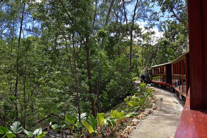 Victorian Steam Railway to Cherry Tree Hill + Great House Tour - What the $35 price really covers
