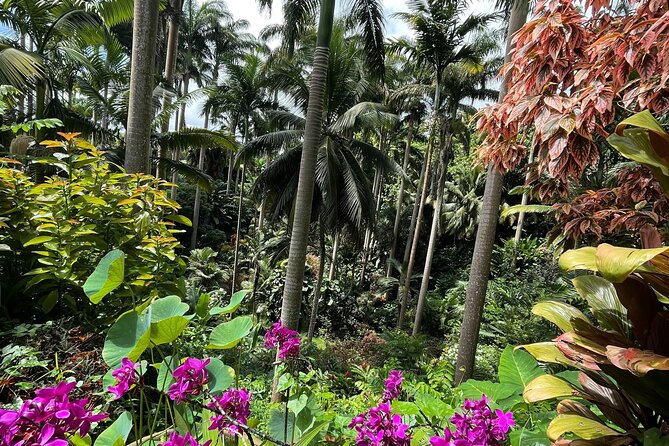 Welchman Hall Gully, Hunte’s Garden and Peg Farm Family Day - How active is the day?