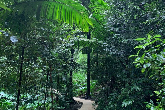 Welchman Hall Gully, Hunte’s Garden and Peg Farm Family Day - Who will get the most from this nature tour?